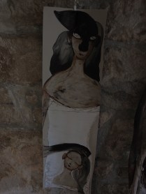 OLYMPUS DIGITAL CAMERA