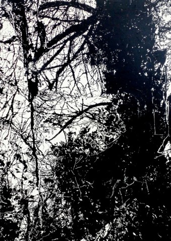 P1050404 copie-filtered