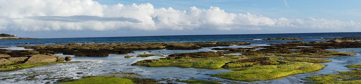 L'espace de Poulguen